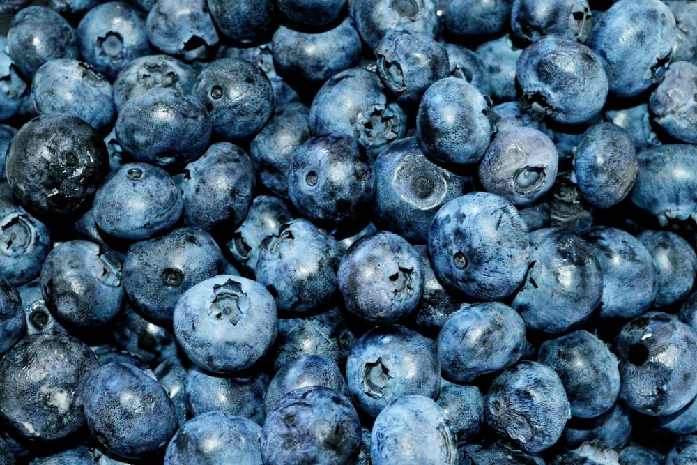 Close-up of fresh blueberries