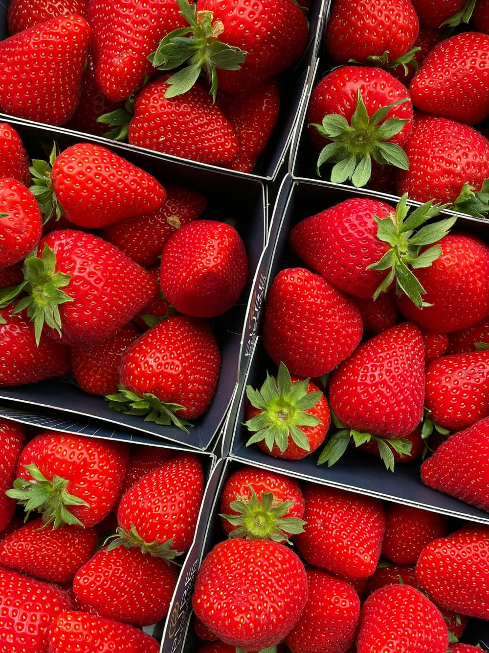 Fresh strawberries packed in punnets